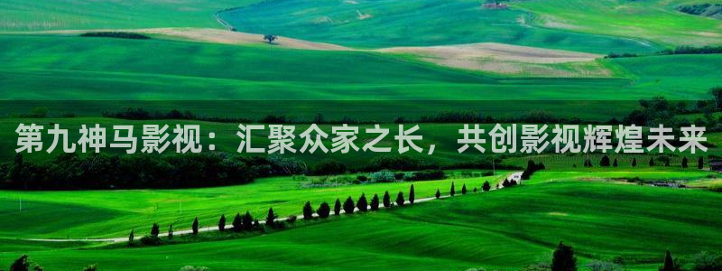 九九热全免费视频：第九神马影视：汇聚众家之长，共创影视辉煌未来