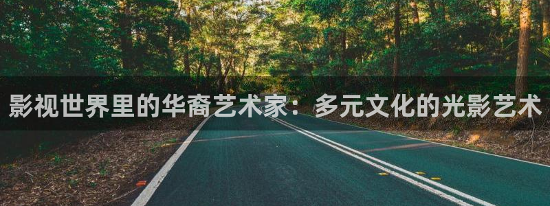 九九真人视频：影视世界里的华裔艺术家：多元文化的光影艺术