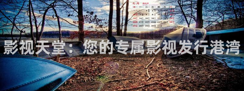九九视频这里只有免费精品：影视天堂：您的专属影视发行港湾