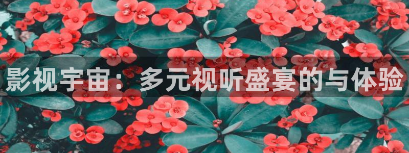 九九影院电视剧免费播放观看：影视宇宙：多元视听盛宴的与体验