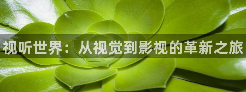 九九在线观看免费视频：视听世界：从视觉到影视的革新之旅