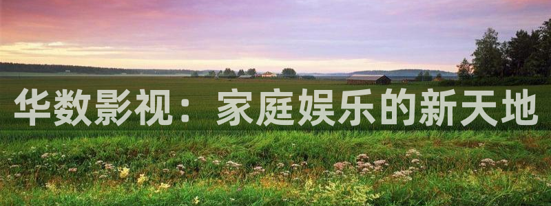 久九九久视频精品免费观看：华数影视：家庭娱乐的新天地